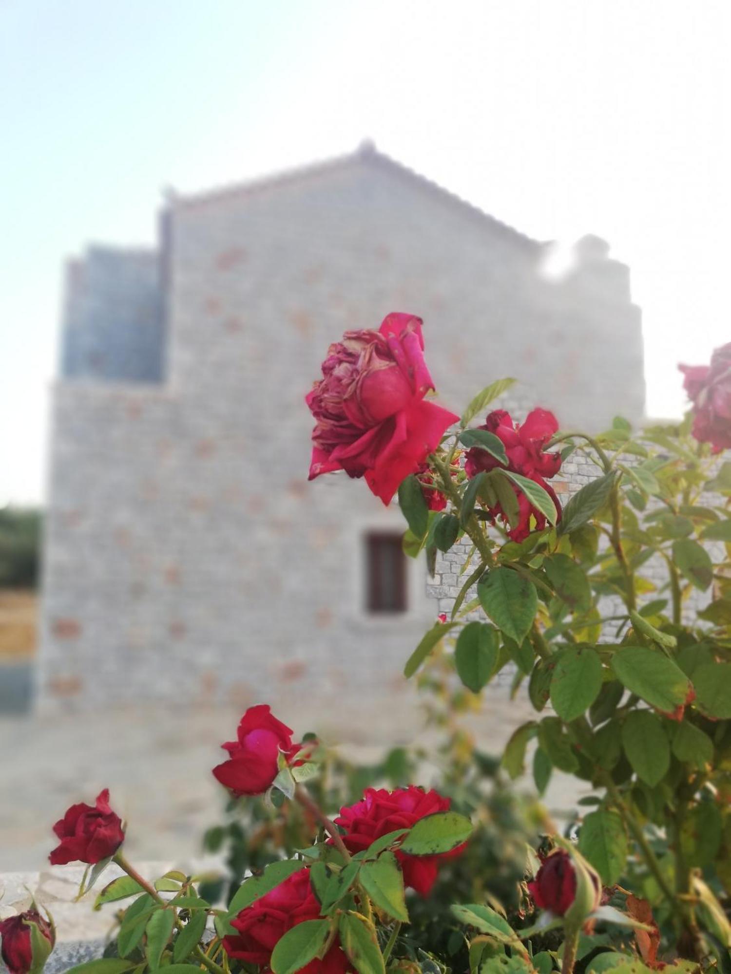 Athevillas Antonis Mina Экстерьер фото